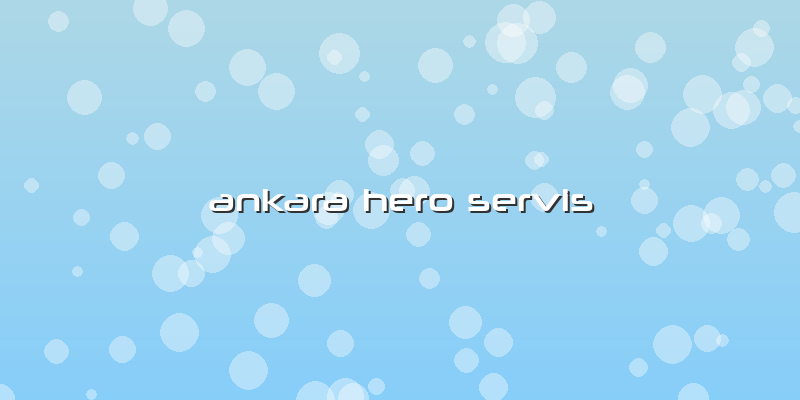 Ankara Hero Servis