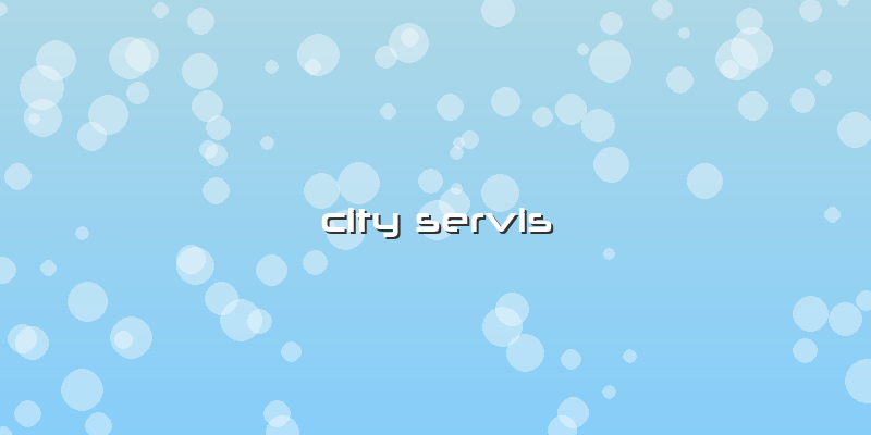 City Servis
