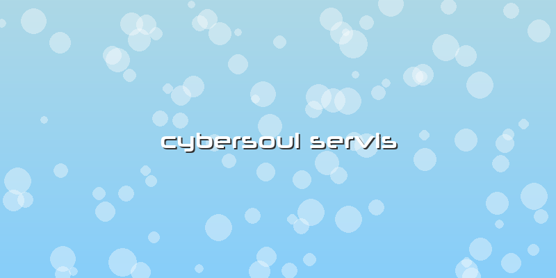 Cybersoul Servis