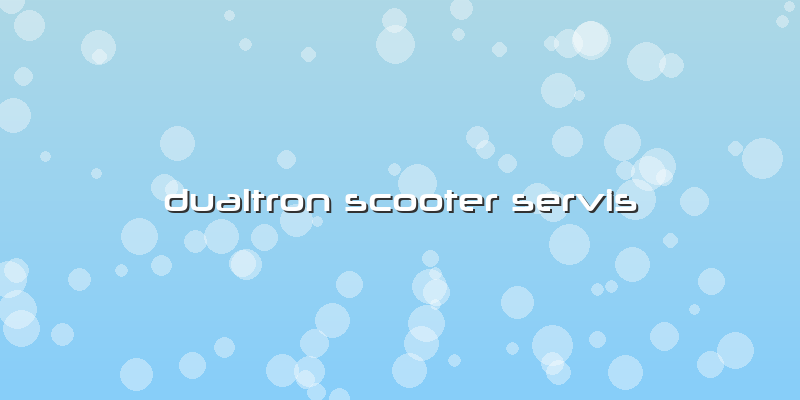 Dualtron Scooter Servis