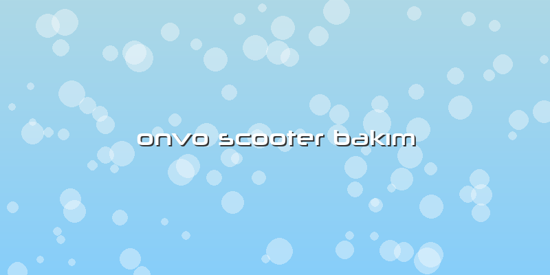 Onvo Scooter Bakım
