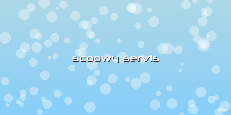 Scoowy Servis