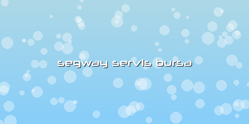 Segway Servis Bursa
